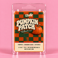 Pumpkin Patch pumpkin cinnamon sugar patchouli wax melt